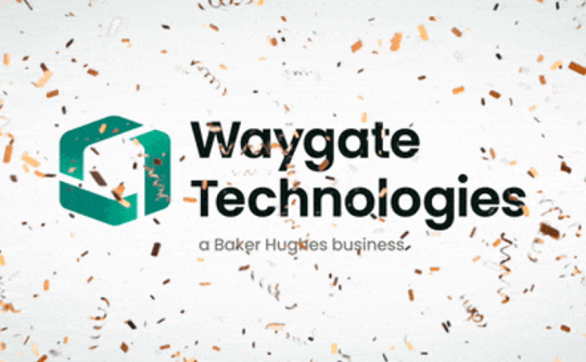 工業(yè)內窺鏡廠(chǎng)家Waygate Technologies介紹